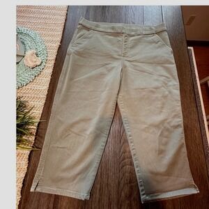Classic Apparel Khakis & Company Cropped Capri Pants Ab Control Olive Size 16